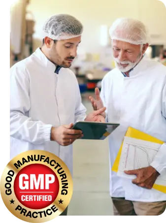 GMP certified manufacturing facility staff reviewing production quality